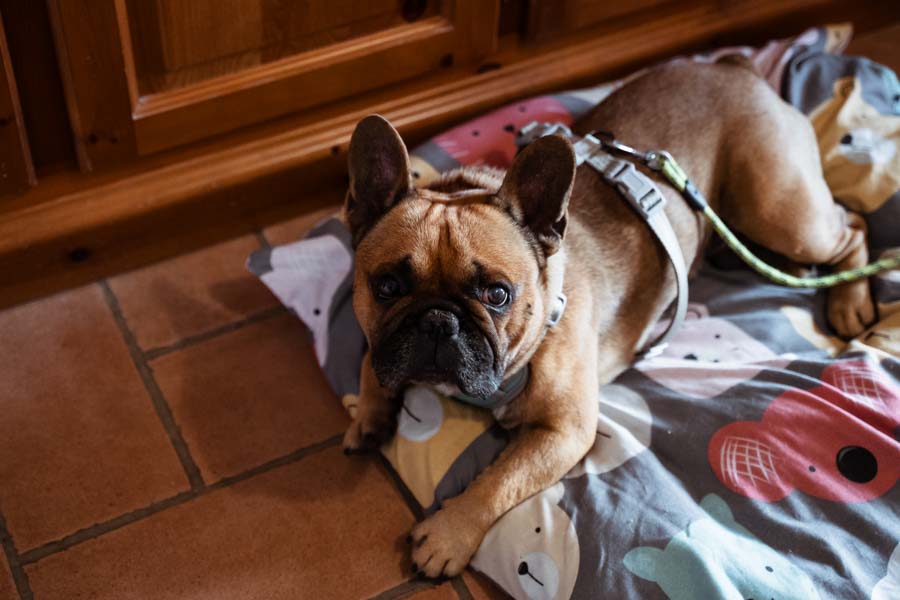 Matrimonio in Umbria
